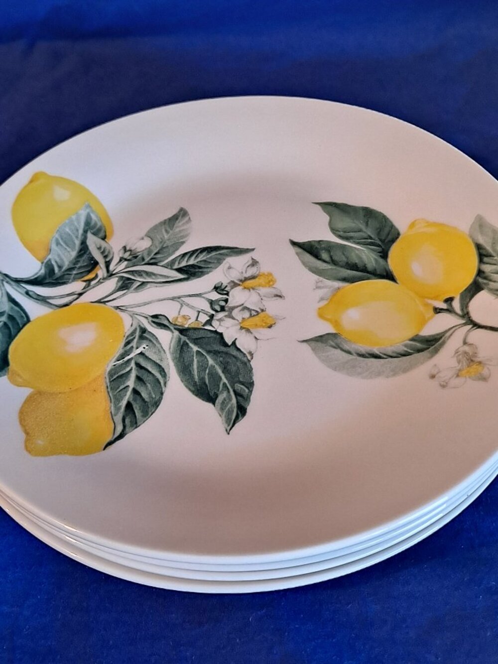 Set 4 Royal Norfolk 7 1/2" SALAD PLATES LEMONS Dinner Bread Dessert Tree Branch